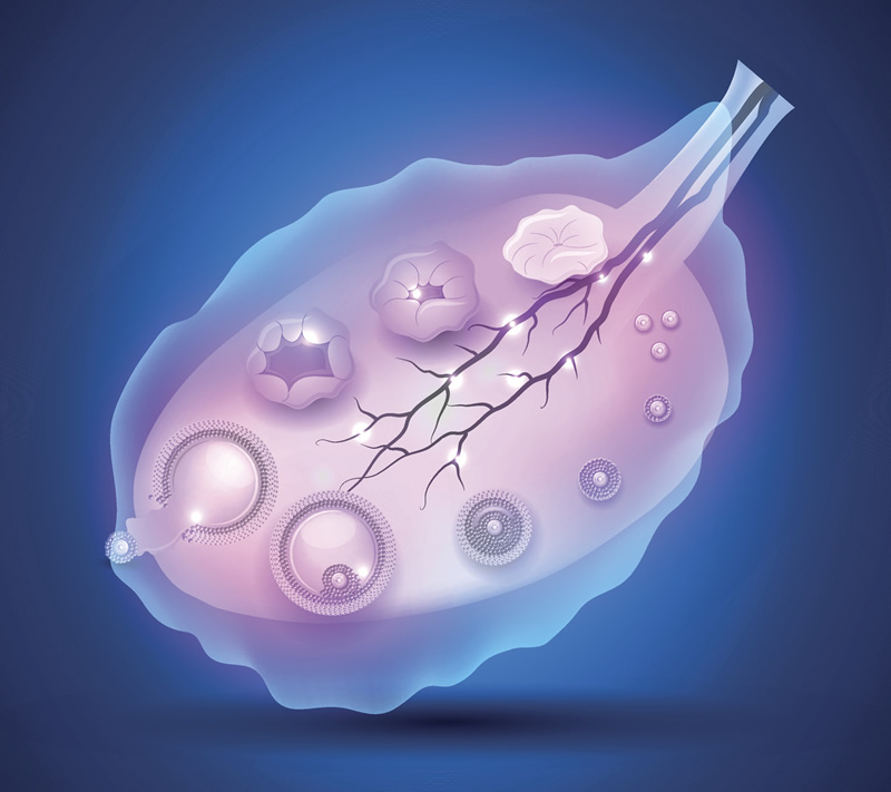 北京单身三代试管较好医院排名更新，附单身试管收费表！